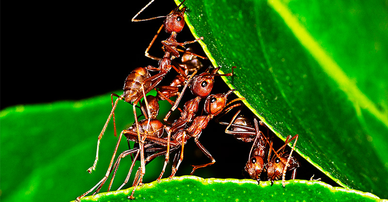 A new project begins